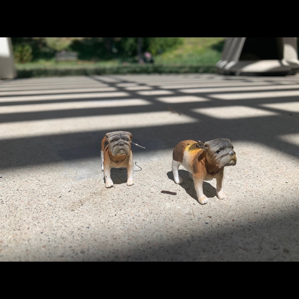 dog earrings